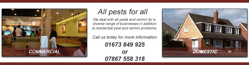 PBFS Pest Control Services Commercial & Domestic